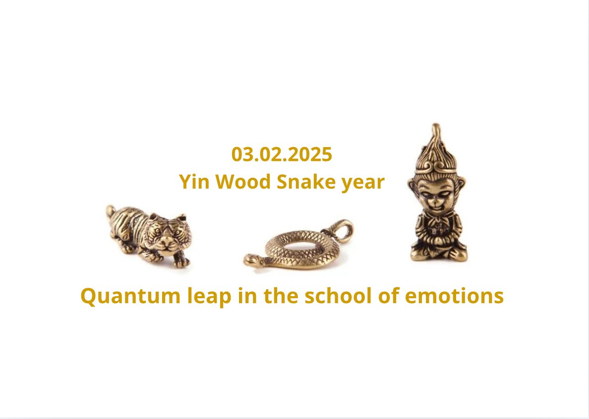 Yin Wood Snake year: 3. february 2025 - 3. february 2026