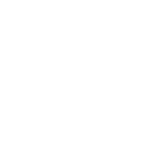 chineseastro.com tiktok icon