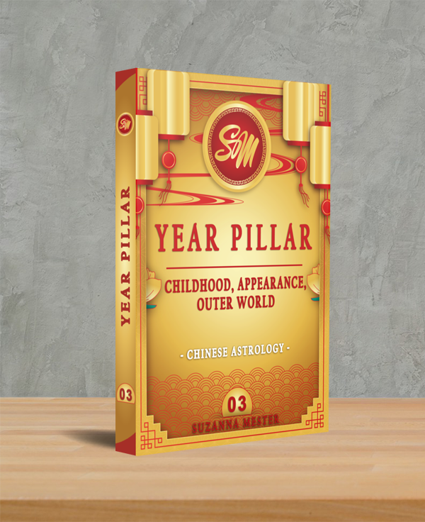 3. How the outer world sees you? - The year pillar analysis