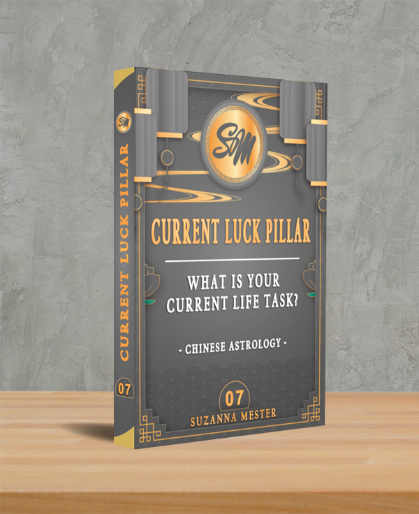 7. Your current Luck Pillar - Your main tasks in current life cycle