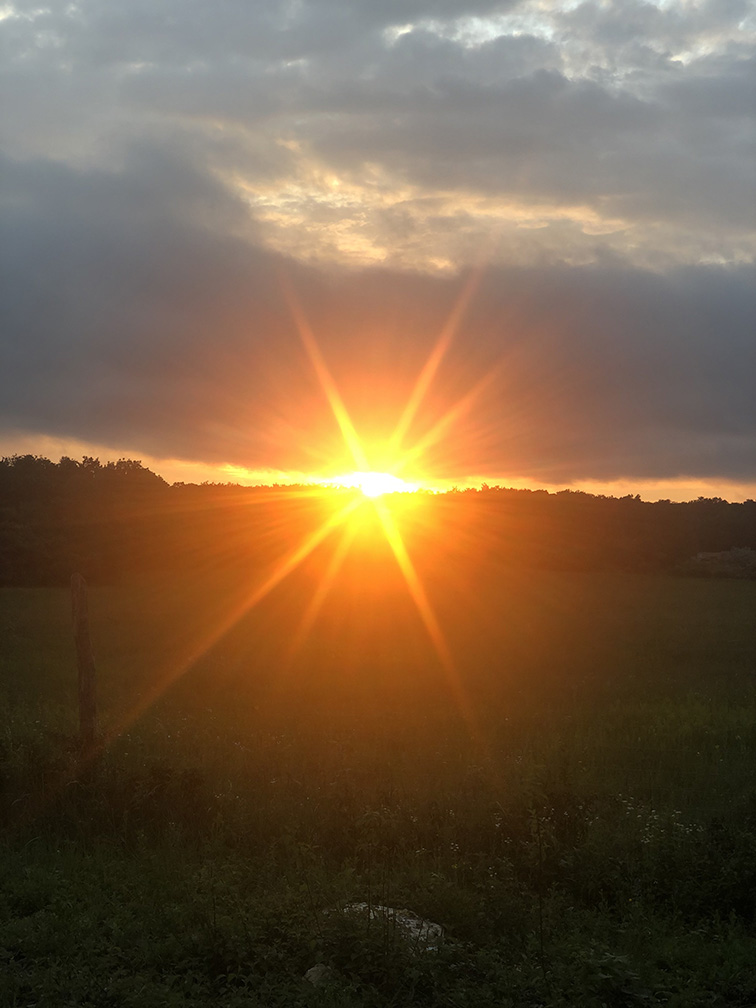 Yang Fire Day Master